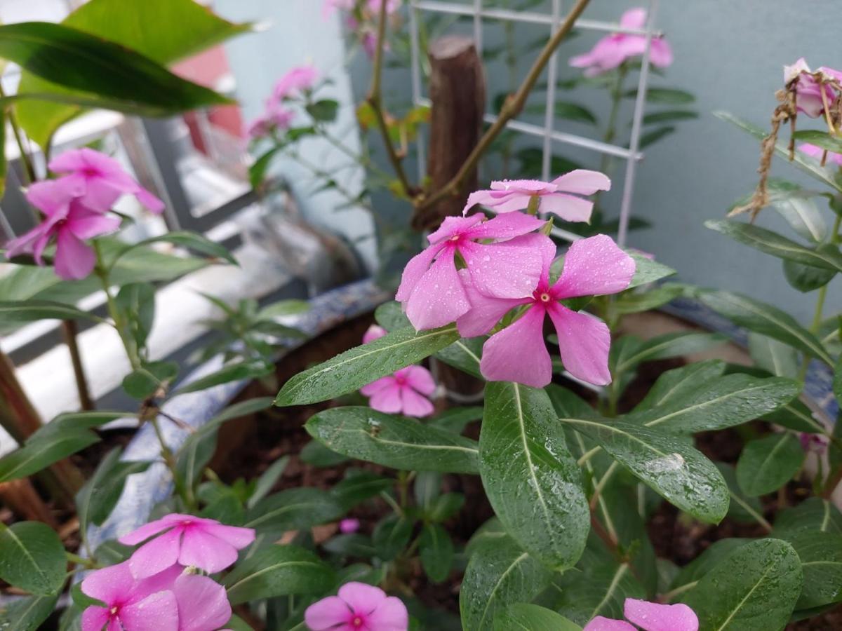 Alley Homestay Hà Nội Ngoại thất bức ảnh