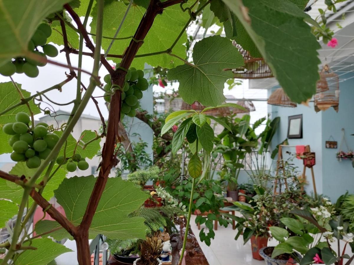 Alley Homestay Hà Nội Ngoại thất bức ảnh